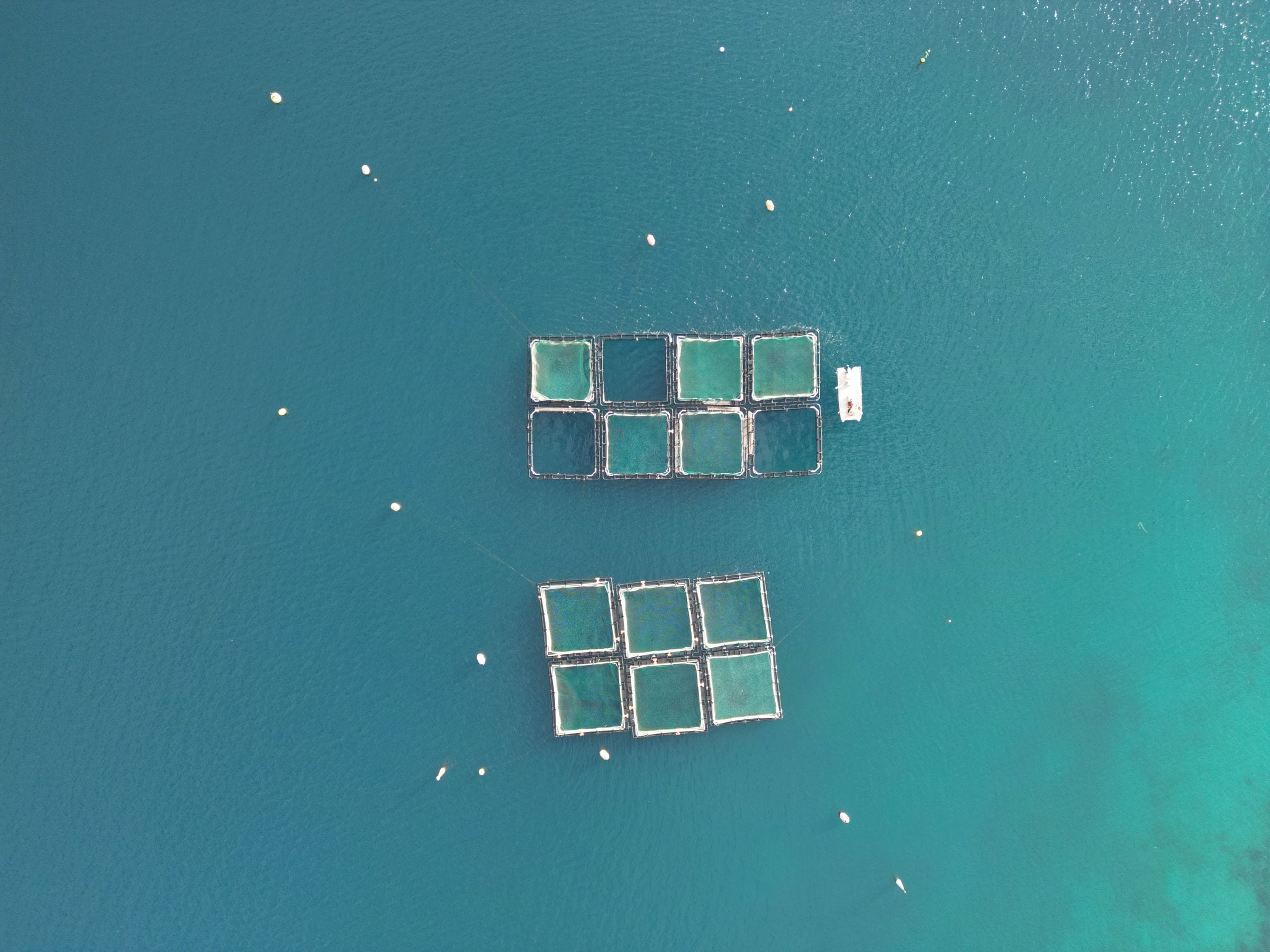 Blok kolam produksi dari udara